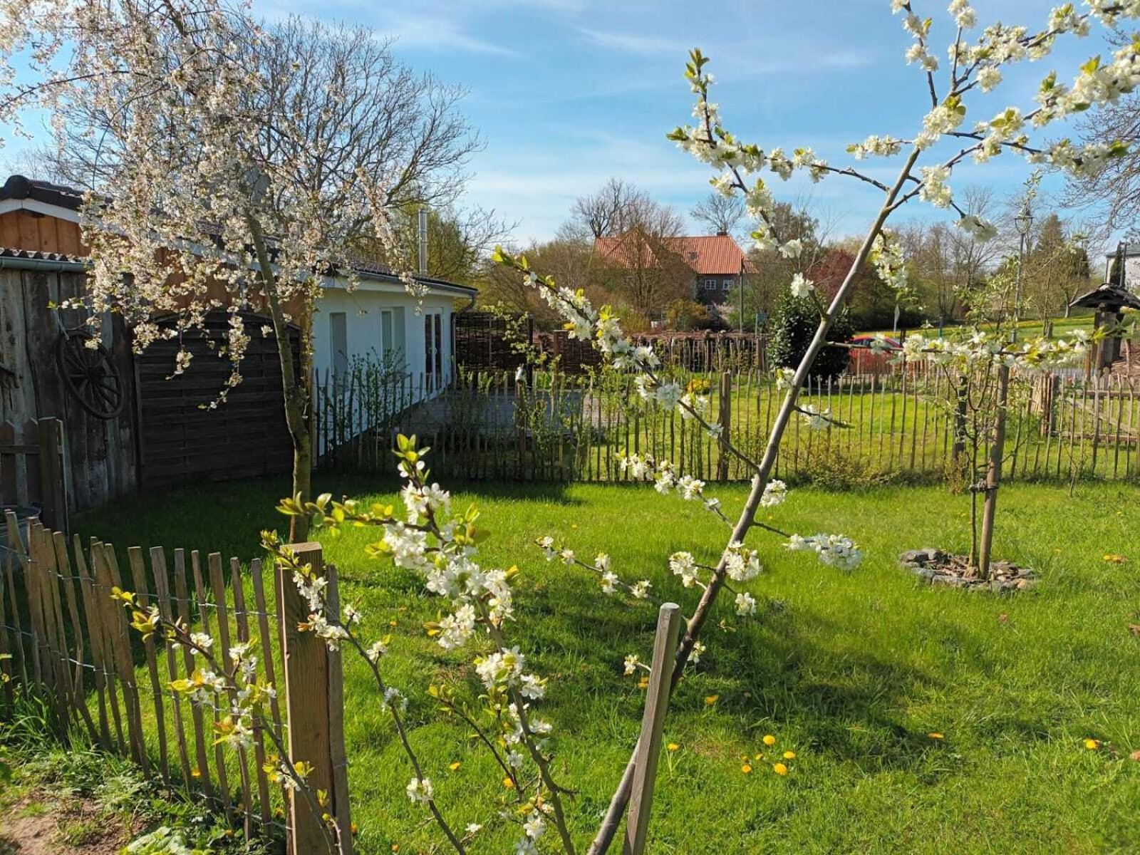 Вилла Apfelhof Grundshagen Номер фото